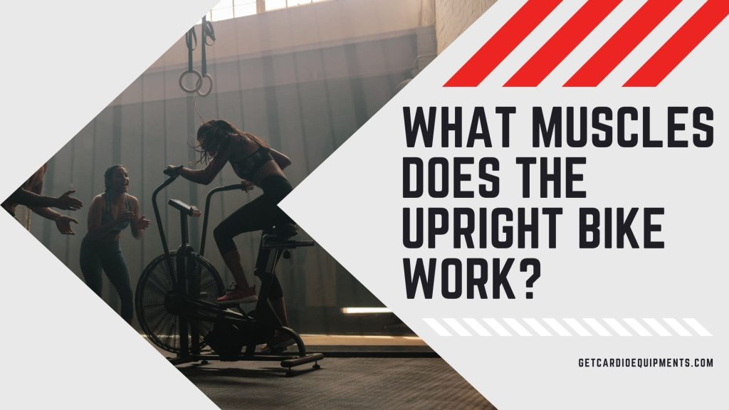 what muscles does the upright bike work